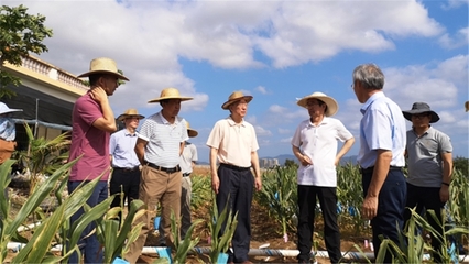 我校國(guó)家農(nóng)業(yè)科技戰(zhàn)略研究院赴海南開展熱帶農(nóng)業(yè)科技創(chuàng)新調(diào)研，助力農(nóng)業(yè)科研發(fā)展新篇章